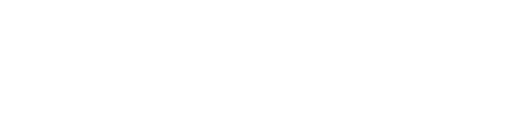 portfolio logo